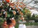Floral Arrangement for Rent Sacramento California
