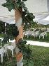 Wedding Decorations Sacramento